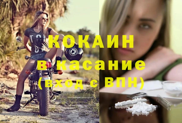 шишки Армянск