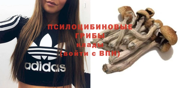 шишки Армянск