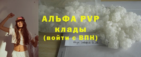 СК Аркадак