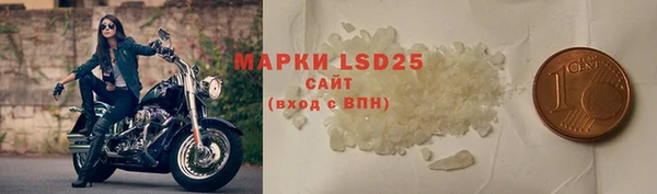 шишки Армянск