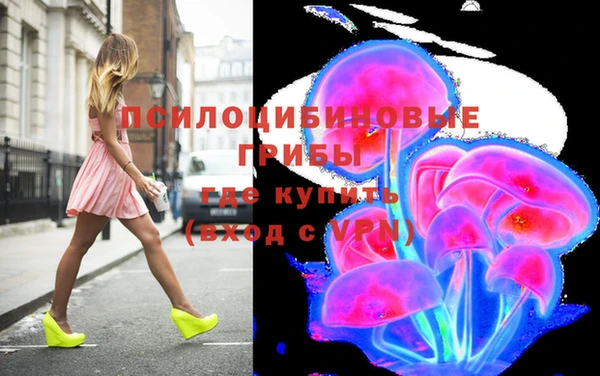 apvp Алексин