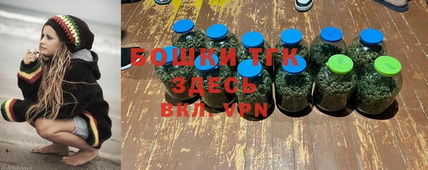 СК Аркадак