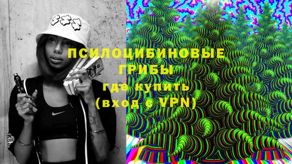 СК Аркадак
