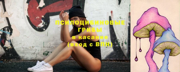 синтетический гашиш Алексеевка