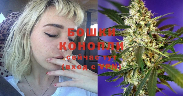 СК Аркадак