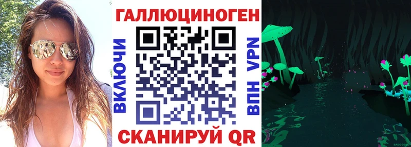 закладка  Дорогобуж  Псилоцибиновые грибы MAGIC MUSHROOMS 